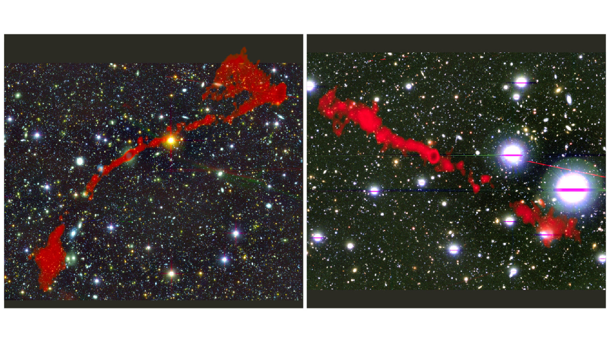 The two giant radio galaxies found with the MeerKAT telescope. In the background is the sky as seen in optical light. Overlaid in red is the radio light from the enormous radio galaxies, as seen by MeerKAT. North is at the top of the images. Left: “GRG1,” Right: “GRG2.” Credit: I. Heywood (Oxford/Rhodes/SARAO) 